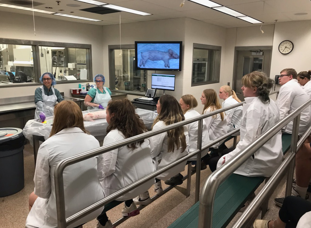 A group of students in a class setting at the MSU Vet Diagnostic Lab.